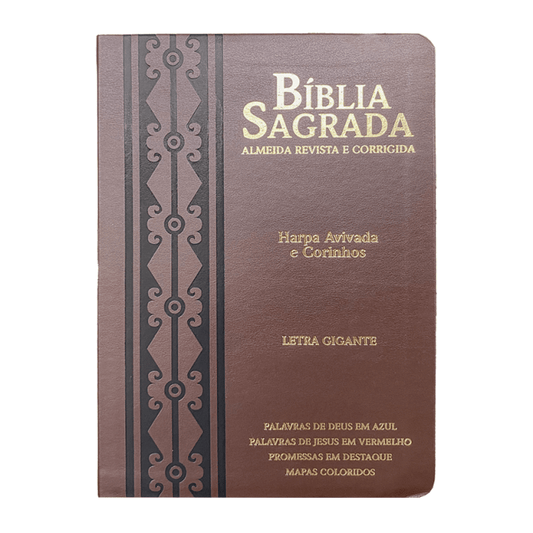 Kit Direção Divina + Bíblia ARC PPM + LIVRO