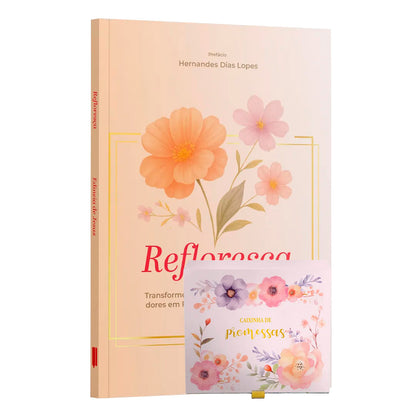 Kit Jardim de Promessas e Cura | Refloresça: Transforme suas dores em Flores + Caixinha de promessas - Flores Mistas