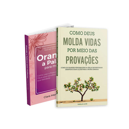 Kit Sabedoria Divina para Dias Difíceis - Orando a Palavra para Mulheres + Como Deus Molda Vidas por Meio das Provações
