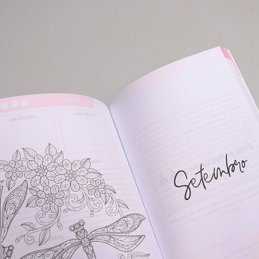 Minha Jornada Com Deus | Menina dos Olhos | Livro de Oração