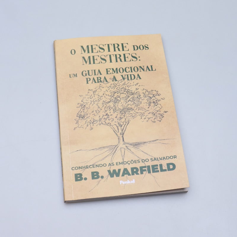 O Mestre dos Mestres: Um Guia Emocional para a Vida