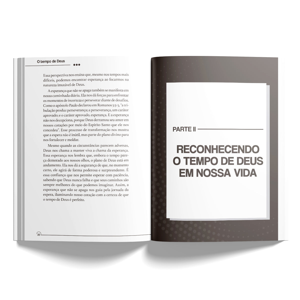 O tempo de Deus: Como alinhar seu coração com relógio de Deus  | Leandro Carvalho
