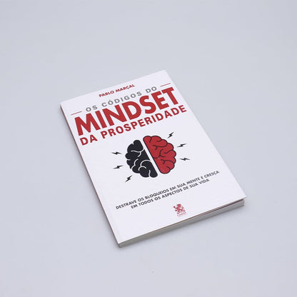 Os Códigos do Mindset da Prosperidade | Pablo Marçal