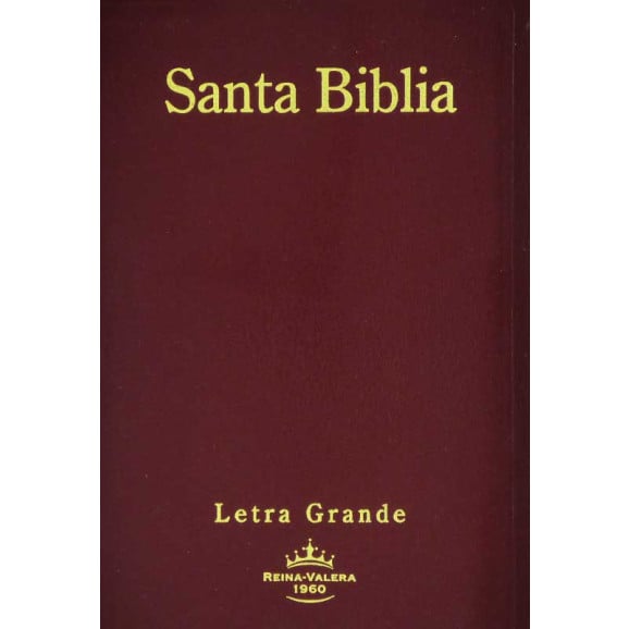 Santa Bíblia | Letra Grande | Vinho | Em Espanhol
