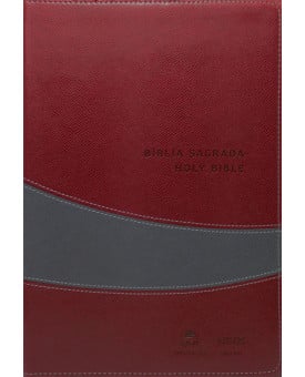 Bíblia Sagrada Holy Bible | NVI | Vinho/Cinza