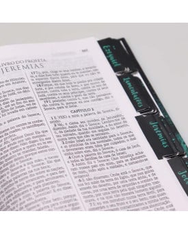 Abas Adesivas para Bíblia | Jornada com Deus Através das Escrituras | Leão Azul