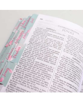 Abas Adesivas para Bíblia | Jornada com Deus Através das Escrituras | Inverno