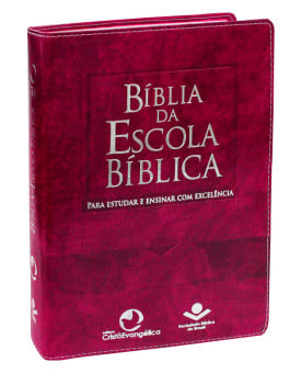 Bíblia da Escola Bíblica | RA | Letra Normal | Capa Sintética | Rosa | Índice