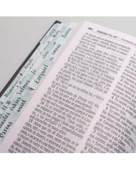 Abas Adesivas para Bíblia | Jornada com Deus Através das Escrituras | Floral