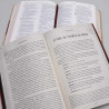 Kit Bíblia NVT na Jornada com Cristo Marrom + O Peregrino | John Bunyan