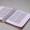 Bíblia Sagrada Anote a Palavra | ACF | Letra Normal | Capa Dura | Leão Dourado | Espiral | Com Espaço Para Anotações