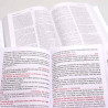 Kit Bíblia Minha Jornada com Deus NVI Clássica + Harpa Avivada e Corinhos | Louvando à Todo Momento