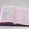Bíblia Sagrada | RC | Harpa Avivada e Corinhos | Letra Jumbo | Capa Dura | Flores Cruz