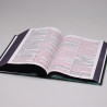 Bíblia Sagrada | RC | Harpa Avivada e Corinhos | Letra Jumbo | Capa Dura | Leão Azul