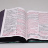 Bíblia Sagrada | RC | Harpa Avivada e Corinhos | Letra Jumbo | Capa Dura | Leão Azul