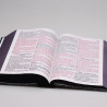 Bíblia Sagrada | RC | Harpa Avivada e Corinhos | Letra Jumbo | Capa Dura | Leão de Judá