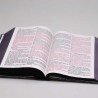 Bíblia Sagrada | RC | Harpa Avivada e Corinhos | Letra Jumbo | Capa Dura | Leão Hebraico