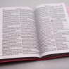 Bíblia Sagrada | RC | Harpa Avivada e Corinhos | Letra Jumbo | Luxo | Flores Rosa