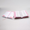 Kit Bíblia NVI Letra Hipergigante Papel + Minha Jornada com Deus Capa Dura | Caminhando com a Fé