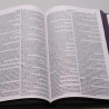 Bíblia Sagrada | RC | Harpa Avivada e Corinhos | Letra Normal | Capa Dura | Leão Azul | Slim