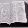 Bíblia Sagrada | NVI | Letra Hipergigante | Semi-Flexível | Leão Azul
