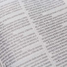 Bíblia Sagrada | King James 1611 | Letra Média | Capa Dura | Leão Color