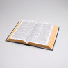 Bíblia de Estudo KJA | King James Atualizada | Letra Hipergigante | Capa Dura | Leão Ilustrado 