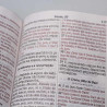 Bíblia Sagrada | RC | Letra Gigante | Soft Touch | Leão Aslam