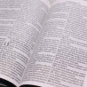 Bíblia Sagrada | RC | Harpa Avivada e Corinhos | Letra Hipergigante | Capa Dura | Leão Azul