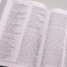 Bíblia Sagrada Minha Jornada com Deus | NVI | Letra Normal | Capa Dura | Leão Dourado
