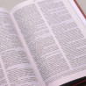 Bíblia Sagrada Minha Jornada com Deus | NVI | Letra Normal | Capa Dura | Papel