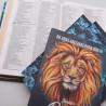 Kit Bíblia NVI Slim + Abas Adesivas | Alfa e Ômega | Vivendo a Maravilha 