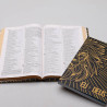 Kit Bíblia NVI Slim + Devocional Eu e Deus | Leão Ouro | Amor a Palavra 