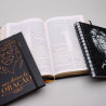 Bíblia de Estudo Holman | RC | Letra Média + Planner Masculino + Meu Diário de Oração | Oração Corajosa