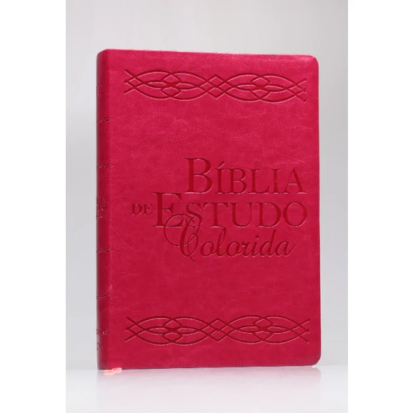 Bíblia de Estudo Colorida | NVI | Letra Grande | Rosa