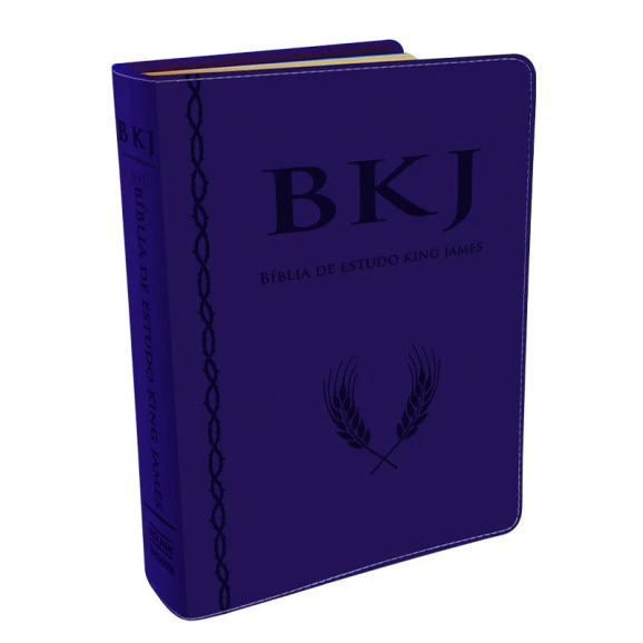 Bíblia de Estudo Holman | King James | Letra Grande | Luxo | Azul