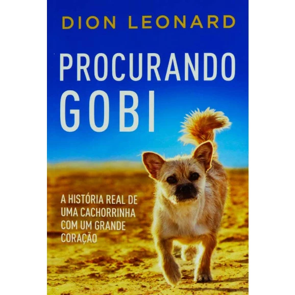Procurando Gobi | Dion Leonard