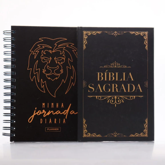 Kit Bíblia Minha Jornada com Deus NVI Clássica + Planner Masculino Leão Ilustrado Marrom | Métodos Sábios