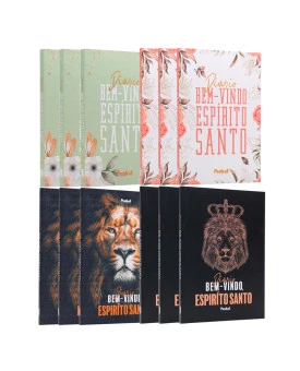 Kit 12 Livros | Diário Bem-Vindo Espírito Santo
