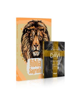 Kit Bíblia NVI Slim Leão King + Devocional Tesouros de Davi | Liderança de Deus (padrão)