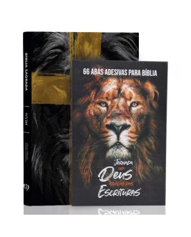 Kit Bíblia | NVI | Slim | Lion Cruz + Abas Adesivas para Bíblia | Círculo Floral | Aos Cuidados do Pai
