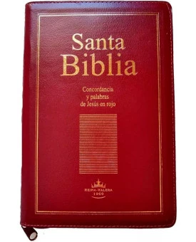 Bíblia em Espanhol | Santa Bíblia | Letra Grande | Luxo | Vinho | Zíper