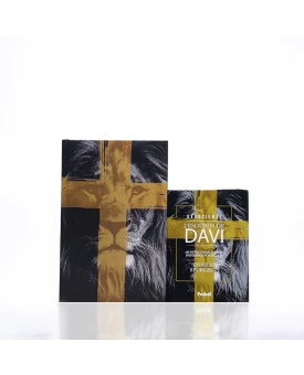 Kit Bíblia NVI Slim Lion Cruz + Devocional Tesouros de Davi | Tempo de Confiar