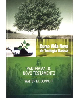 Curso Vida Nova De Teologia Básica | Panorama do Novo Testamento | Vol. 3 | Walter M. Dunnett