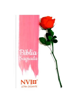 Bíblia Sagrada | NVI | Letra Gigante | Capa Dura | Botão de Rosa 