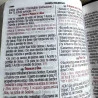 Bíblia Sagrada | Letra Hiper Gigante | RC | Harpa e Corinhos | Bicolor Vertical | Pink e Rosa