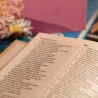 Kit 20 Bíblias | NVI | Capa Dura | Slim