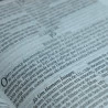 Bíblia de Estudo | Orando a Palavra