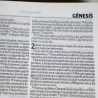 Nova Bíblia Viva | Letra Normal | Capa Dura | Hexagonal