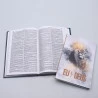 Kit Bíblia RC | Harpa Avidada e Corinhos | Slim | Isaías + Devocional Eu e Deus | Leão Dourado | Bênçãos Divinas